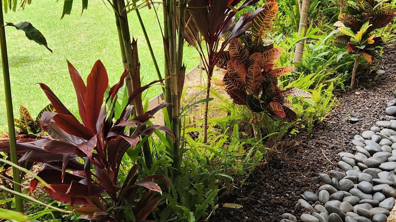 Photo of Outdoor in Kahana