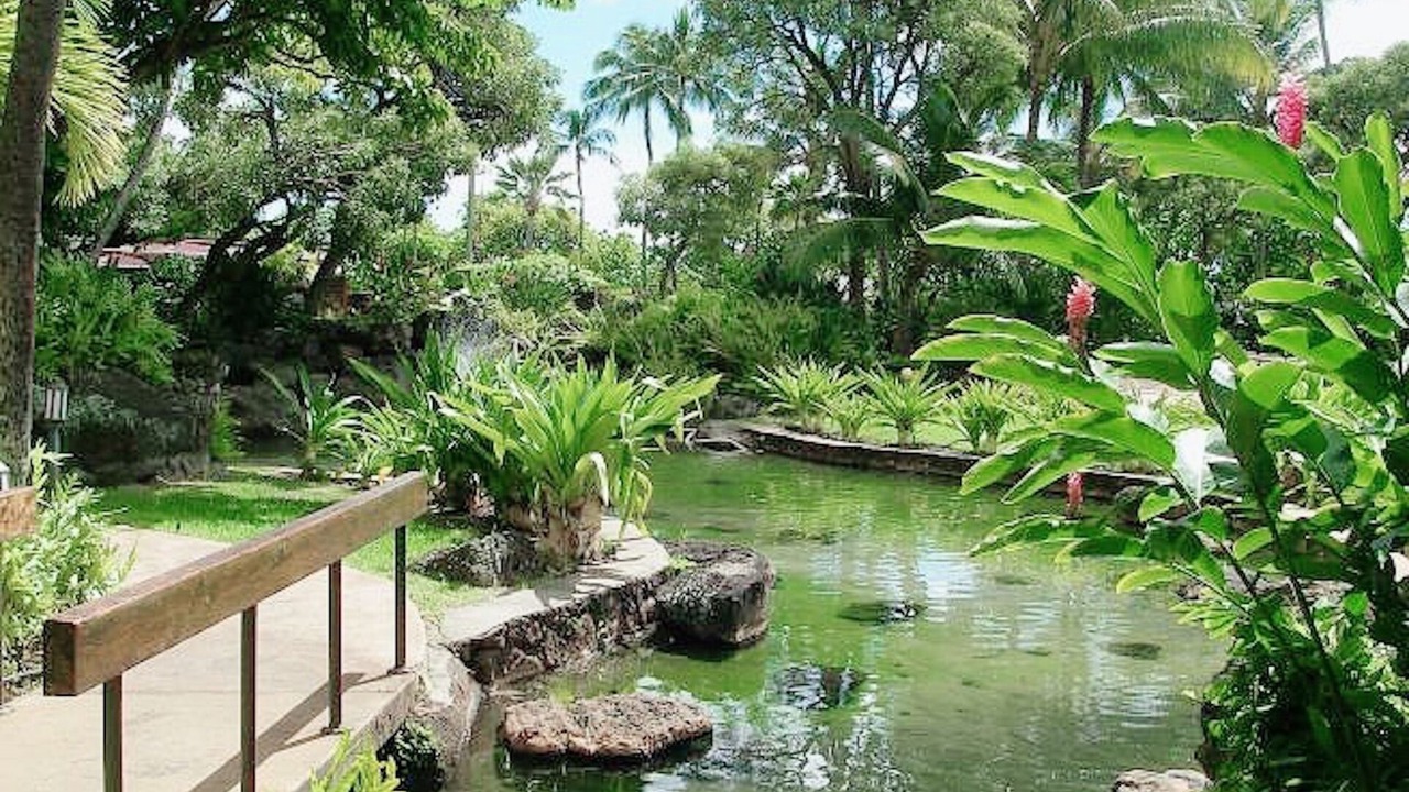 Photo of Outdoor in Hawaii Kai