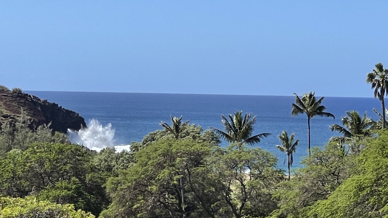 Photo of Others in Maunaloa