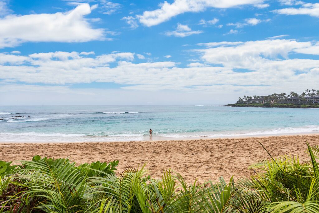Photo of Others in Napili