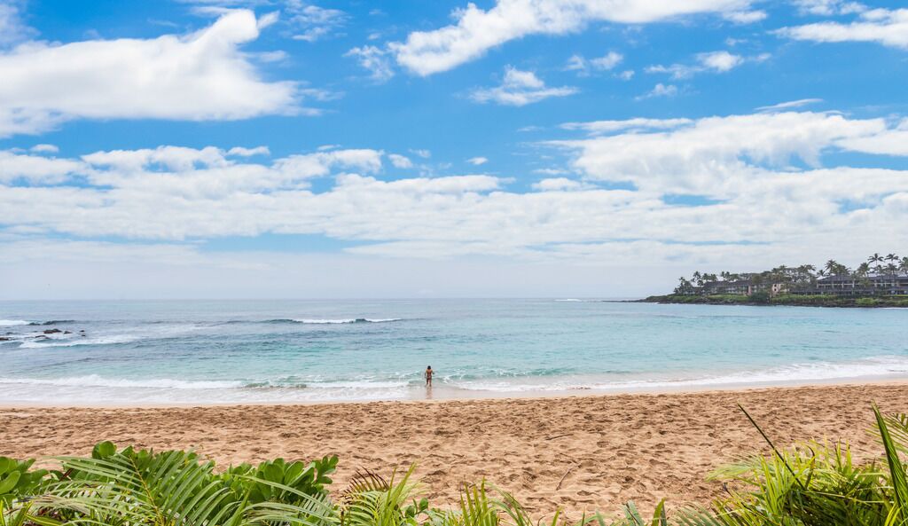 Photo of Others in Napili
