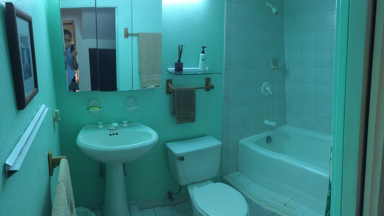 Photo of Bathroom in Palolo