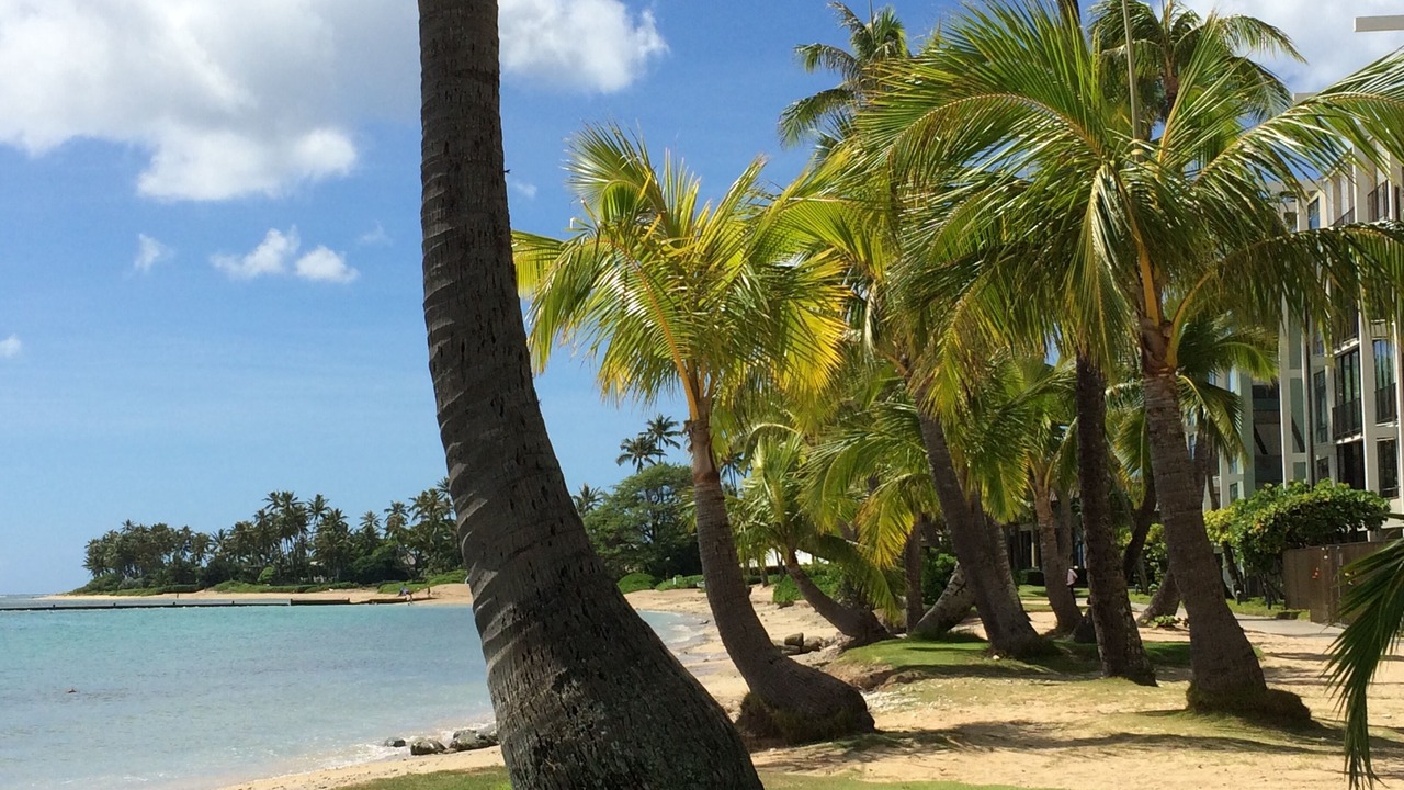Photo of Others in Palolo