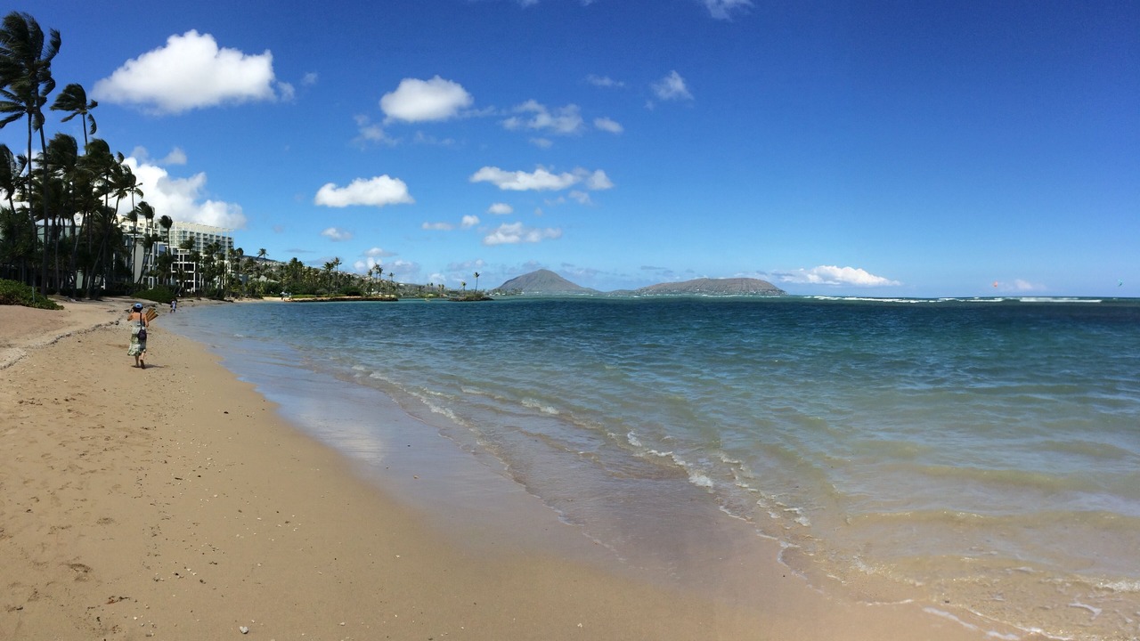Photo of Others in Palolo