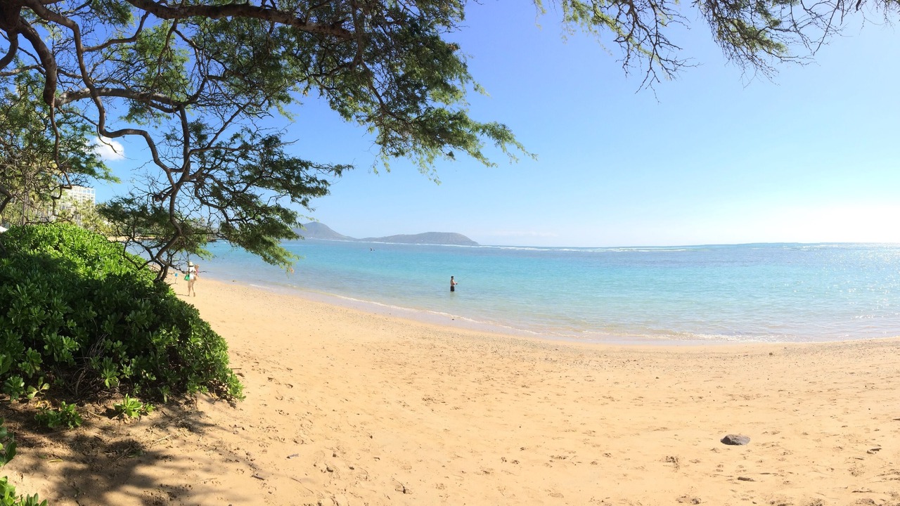 Photo of Others in Palolo