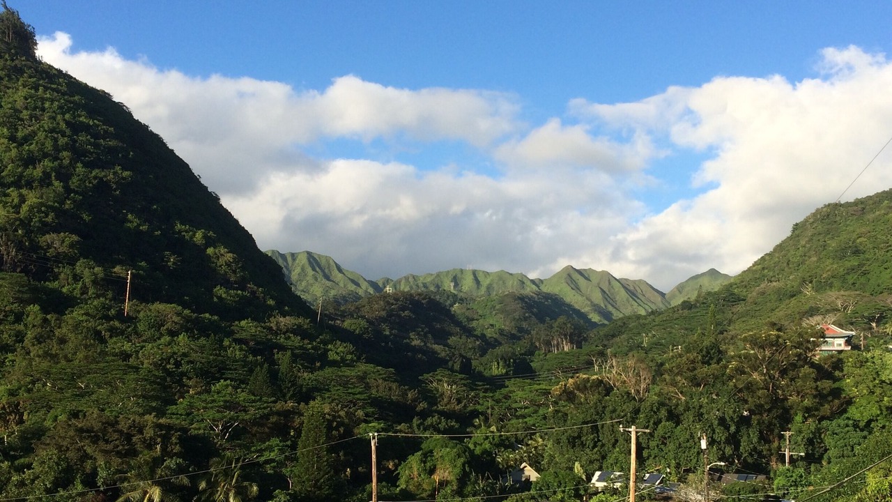 Photo of Others in Palolo