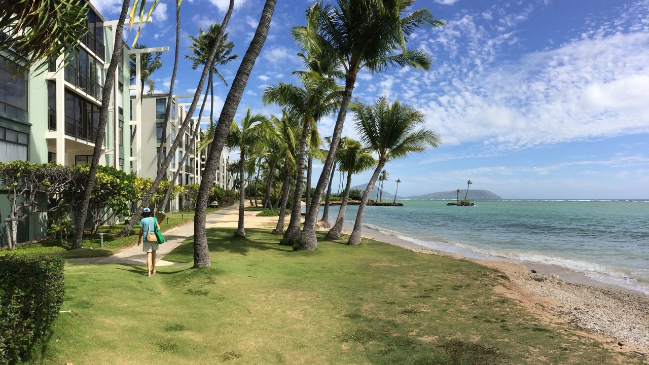 Photo of Others in Palolo