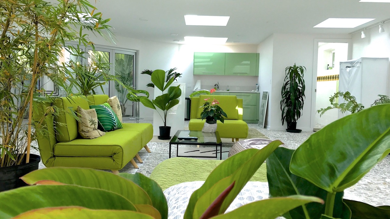 Photo of Livingroom in Nuuanu - Punchbowl