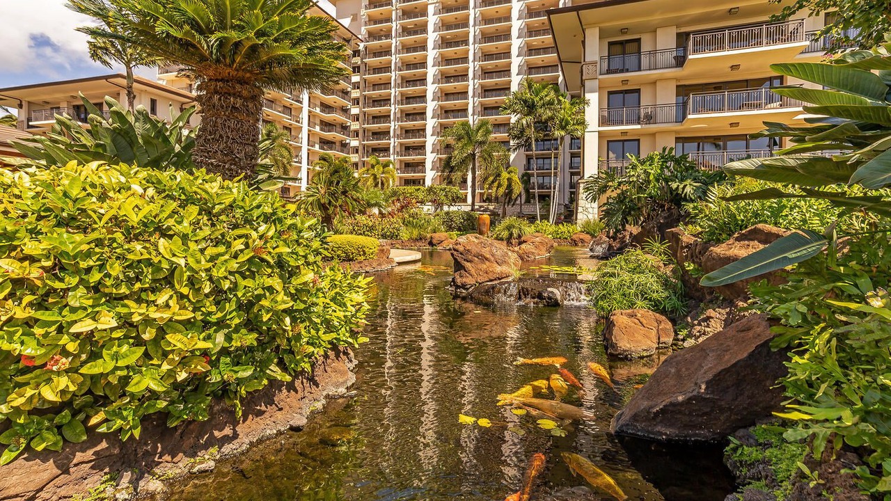 Photo of Others in Ko Olina