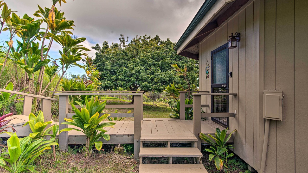 Photo of Others in Hilo