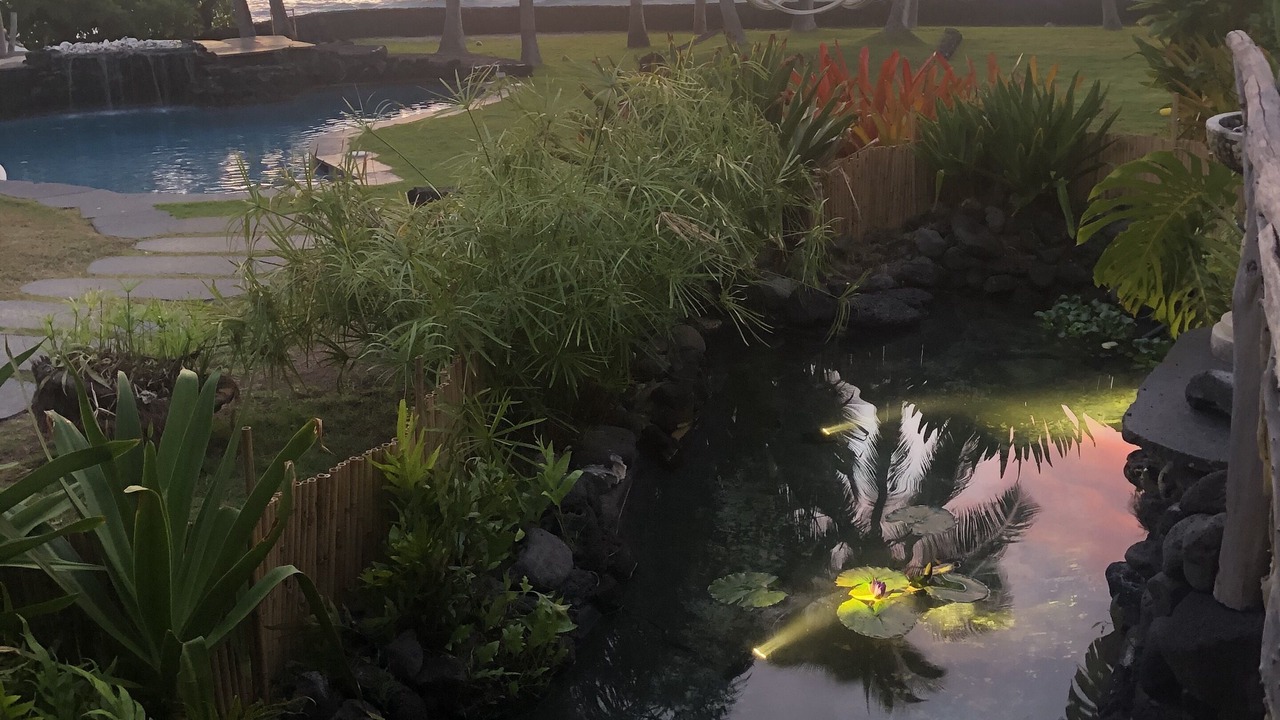 Photo of Others in Kailua-Kona