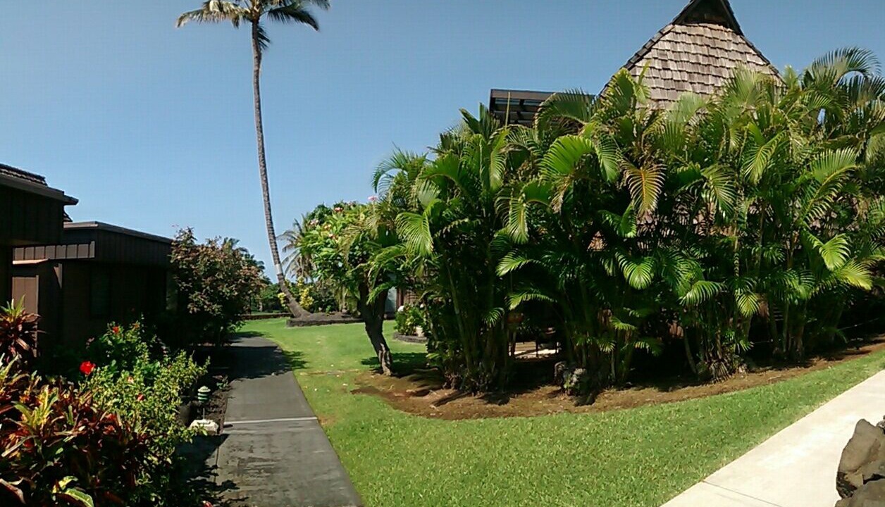Photo of Outdoor in Punaluu
