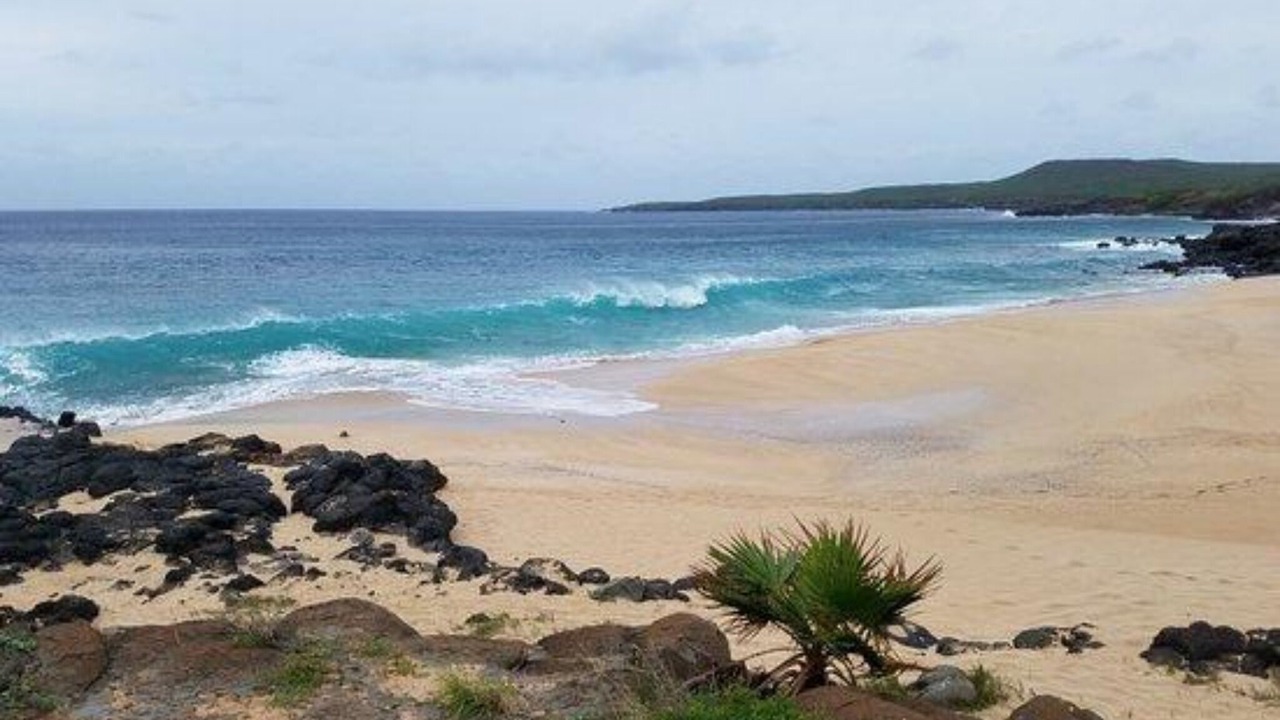 Photo of Others in Maunaloa