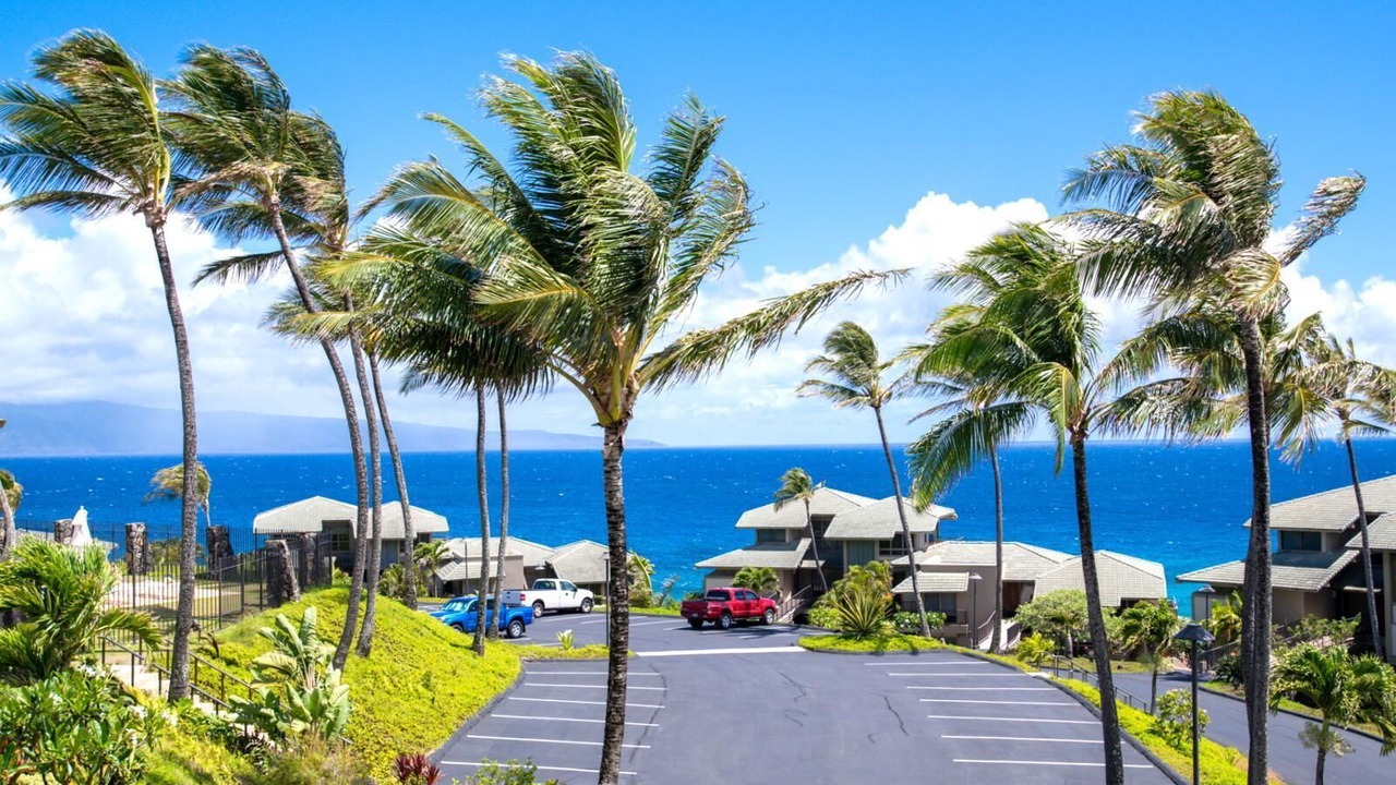 Photo of Others in Napili