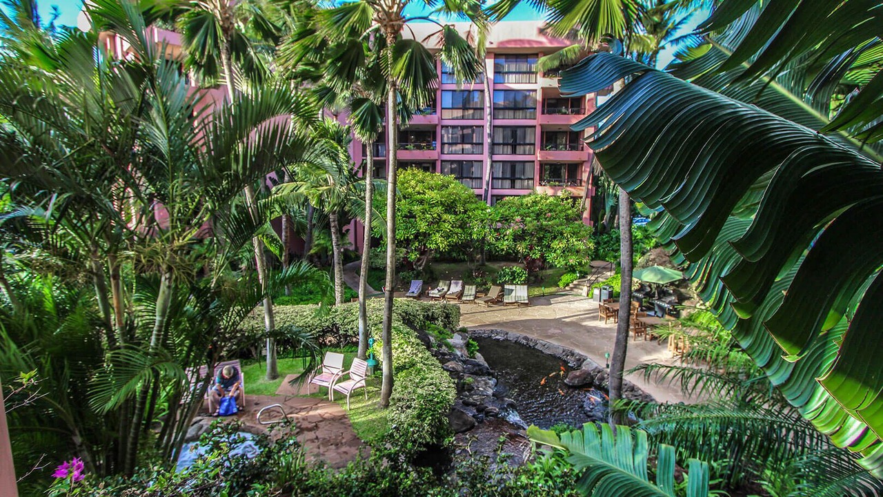Photo of Outdoor in Kahana