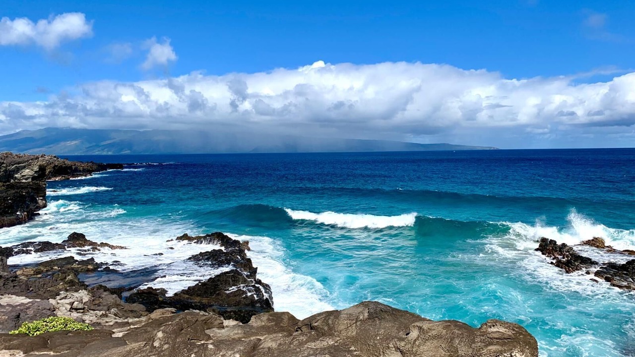 Photo of Others in Napili