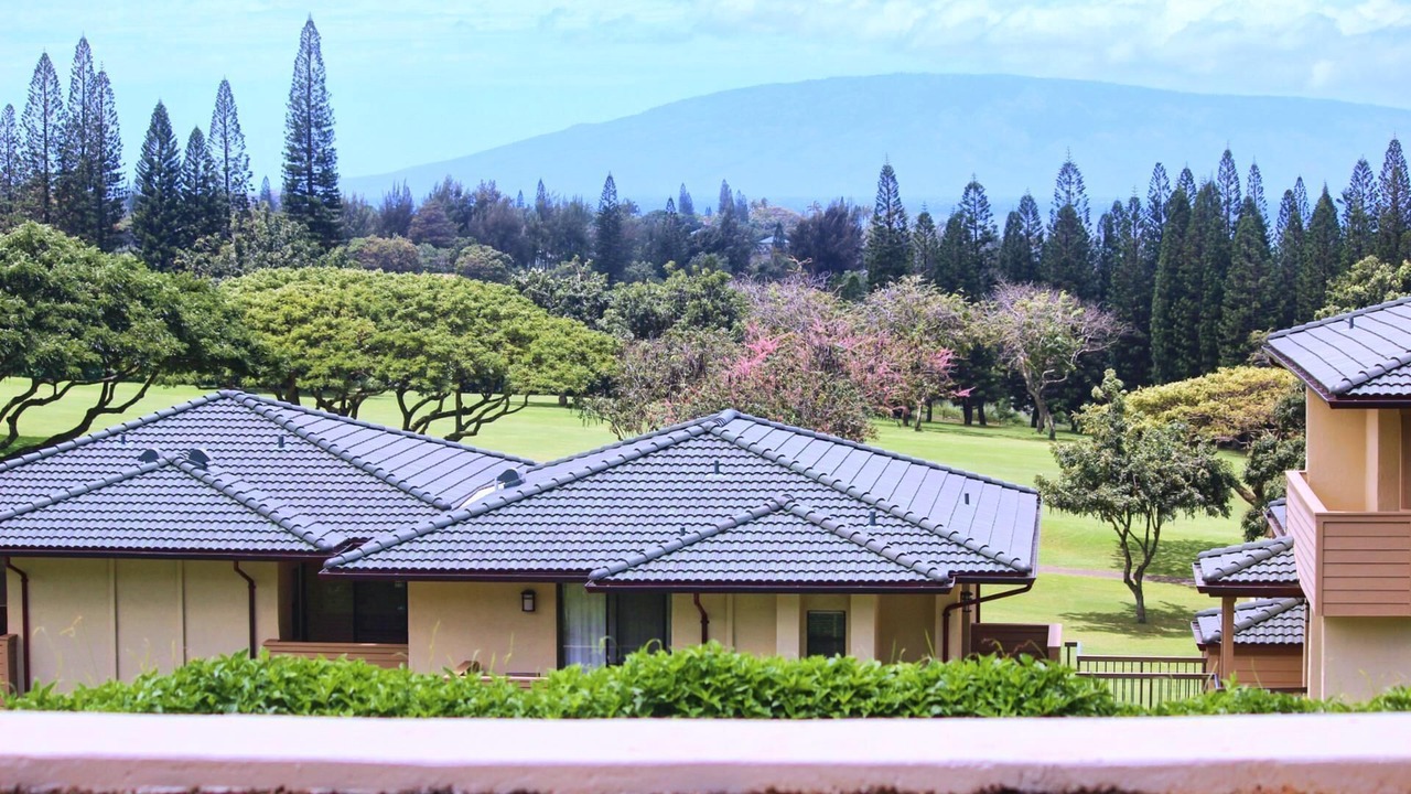 Photo of Others in Kapalua
