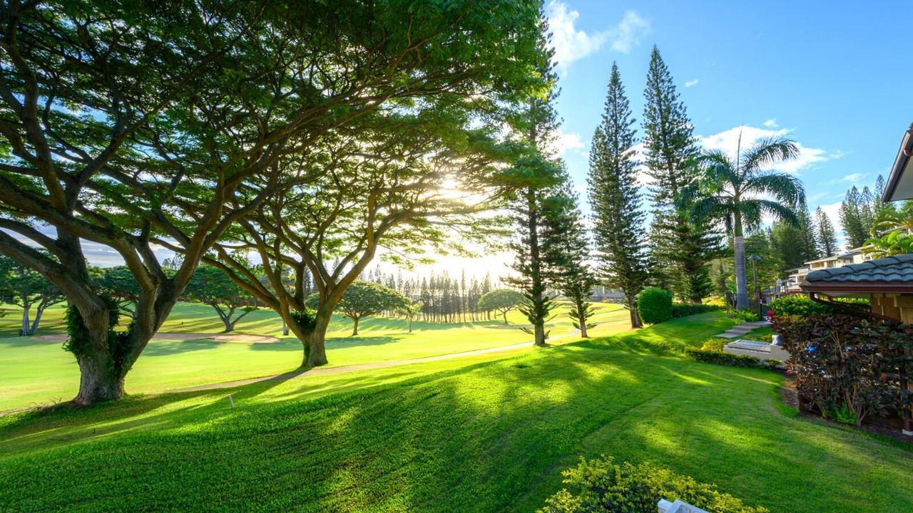 Photo of Others in Kapalua