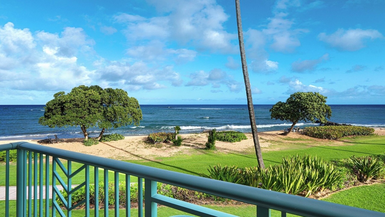 Photo of Others in Wailua