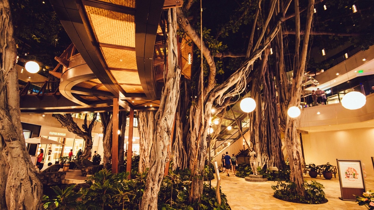 Photo of Others in Waikiki