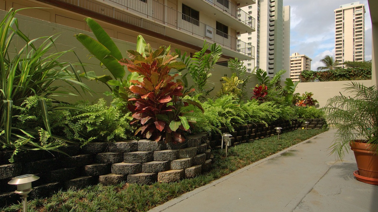 Photo of Outdoor in Waikiki