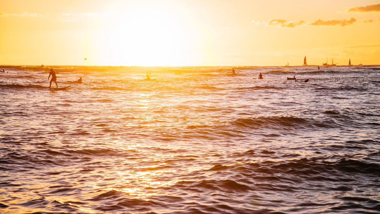 Photo of Others in Waikiki