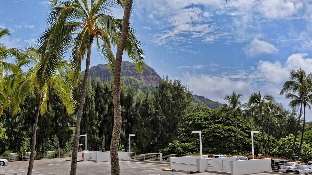Photo of Others in Diamond Head - Kapahulu - St. Louis