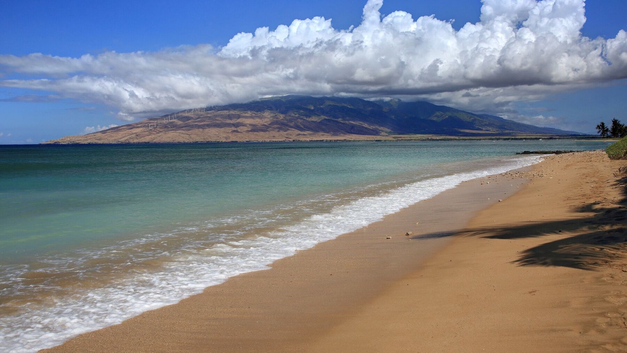 Photo of Others in Kihei