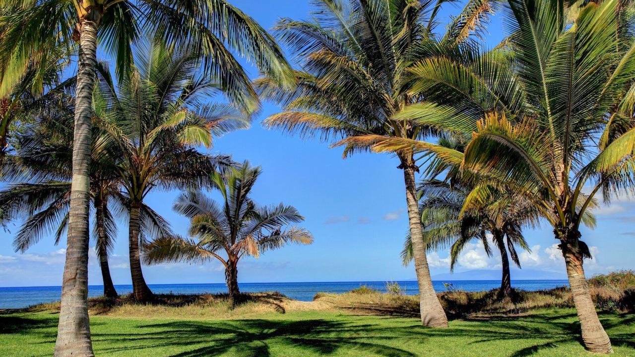 Photo of Others in Kihei
