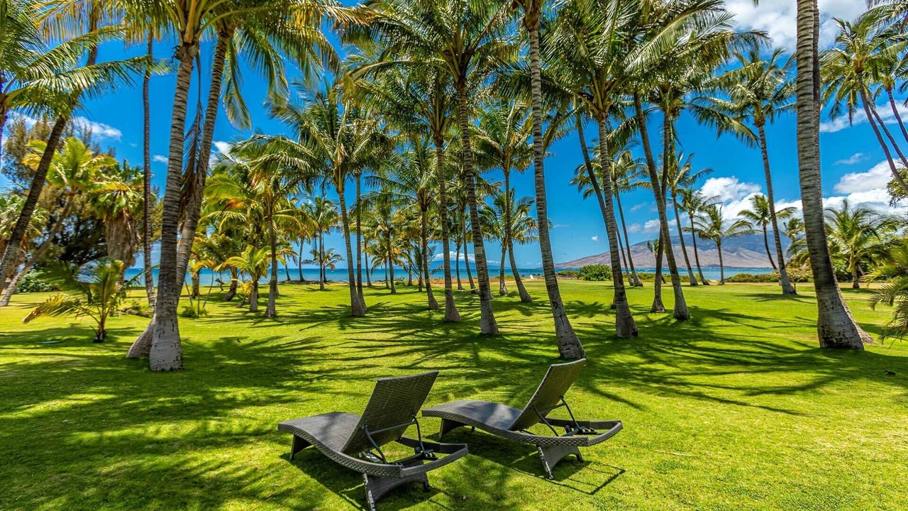Photo of Others in Kihei