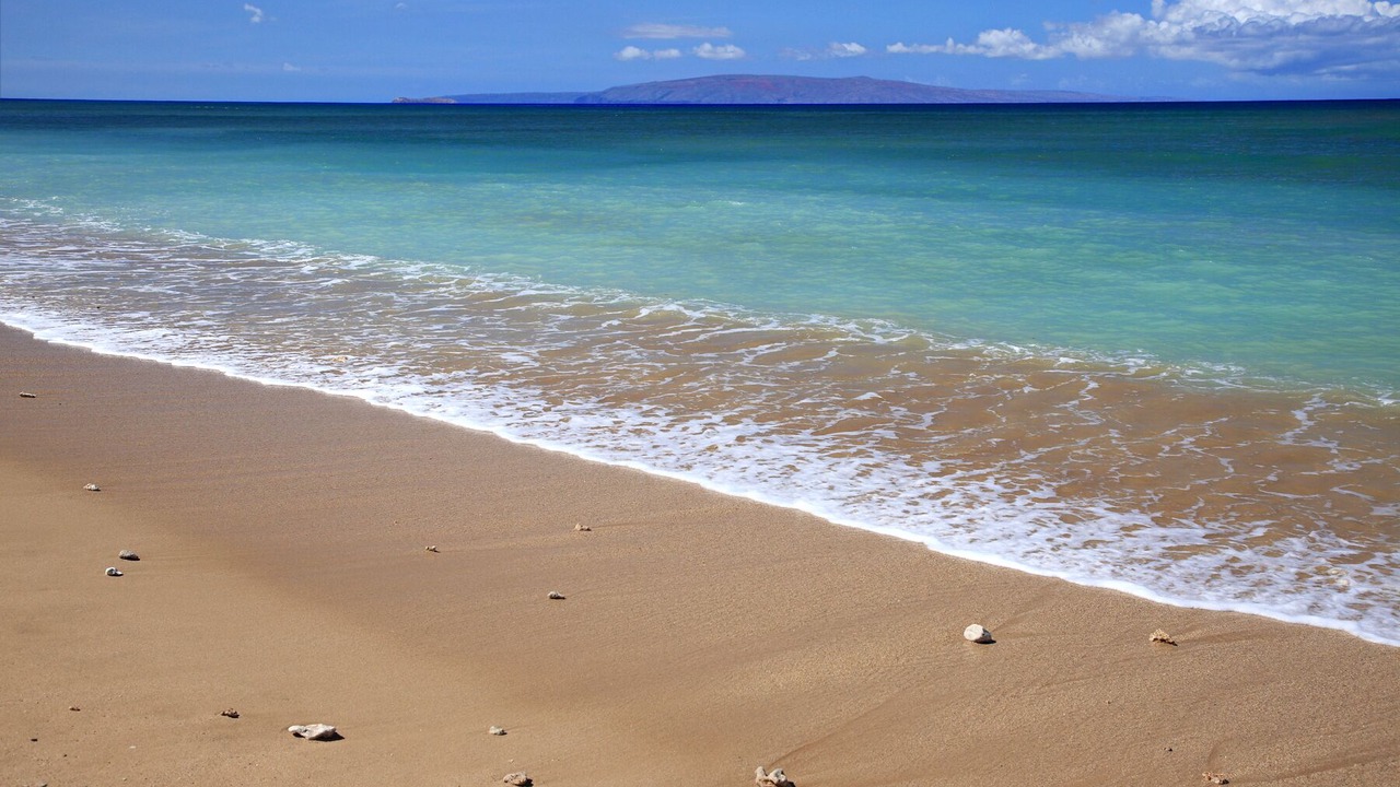 Photo of Others in Kihei