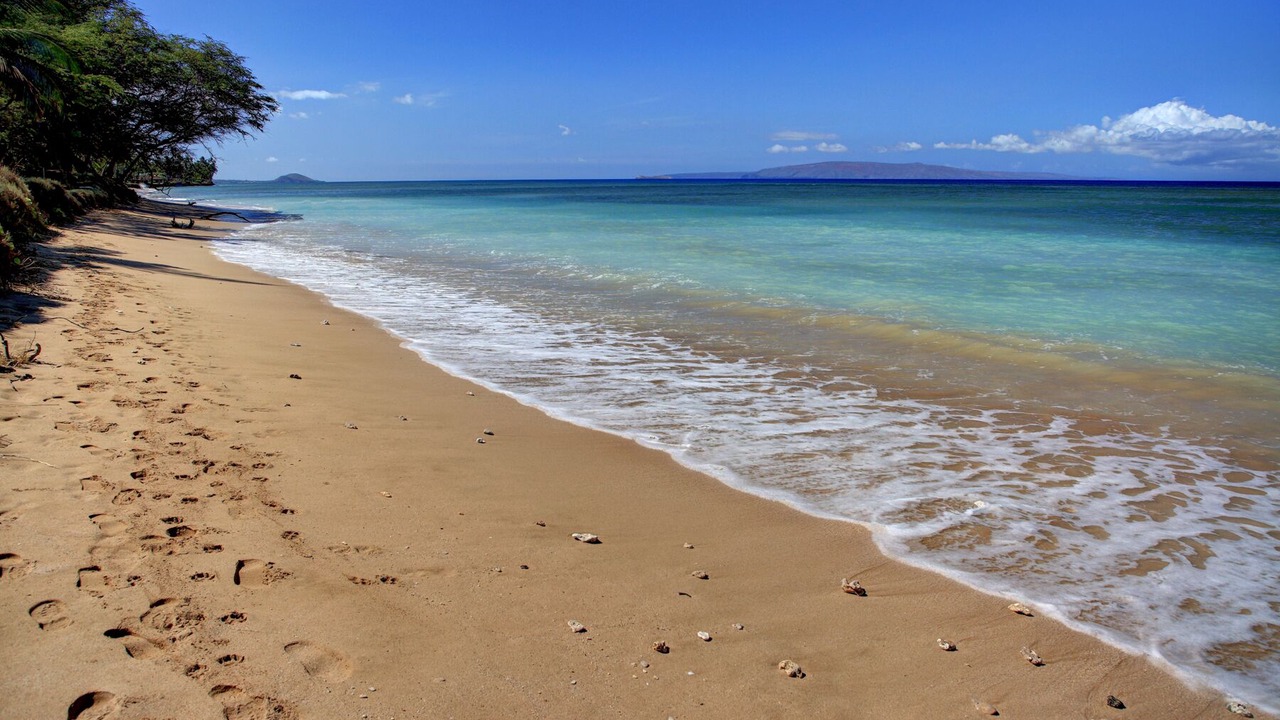 Photo of Others in Kihei