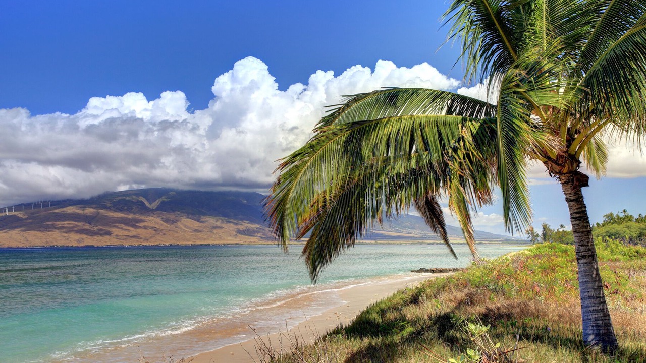 Photo of Others in Kihei