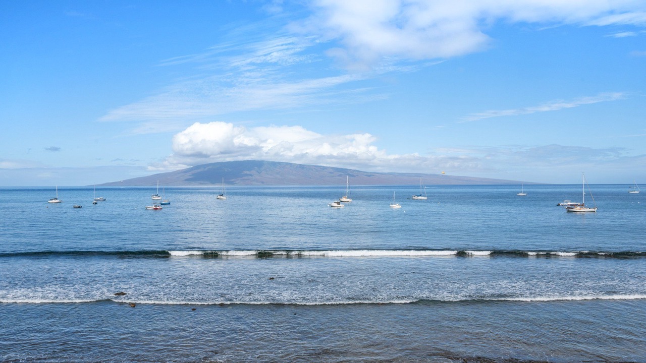 Photo of Others in Historic Lahaina Front Street