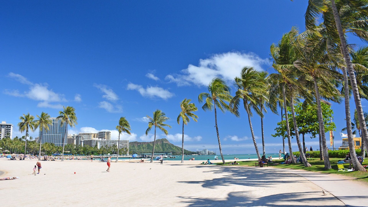 Photo of Others in Waikiki