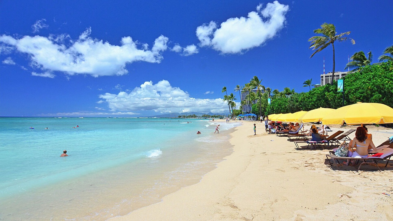 Photo of Others in Waikiki