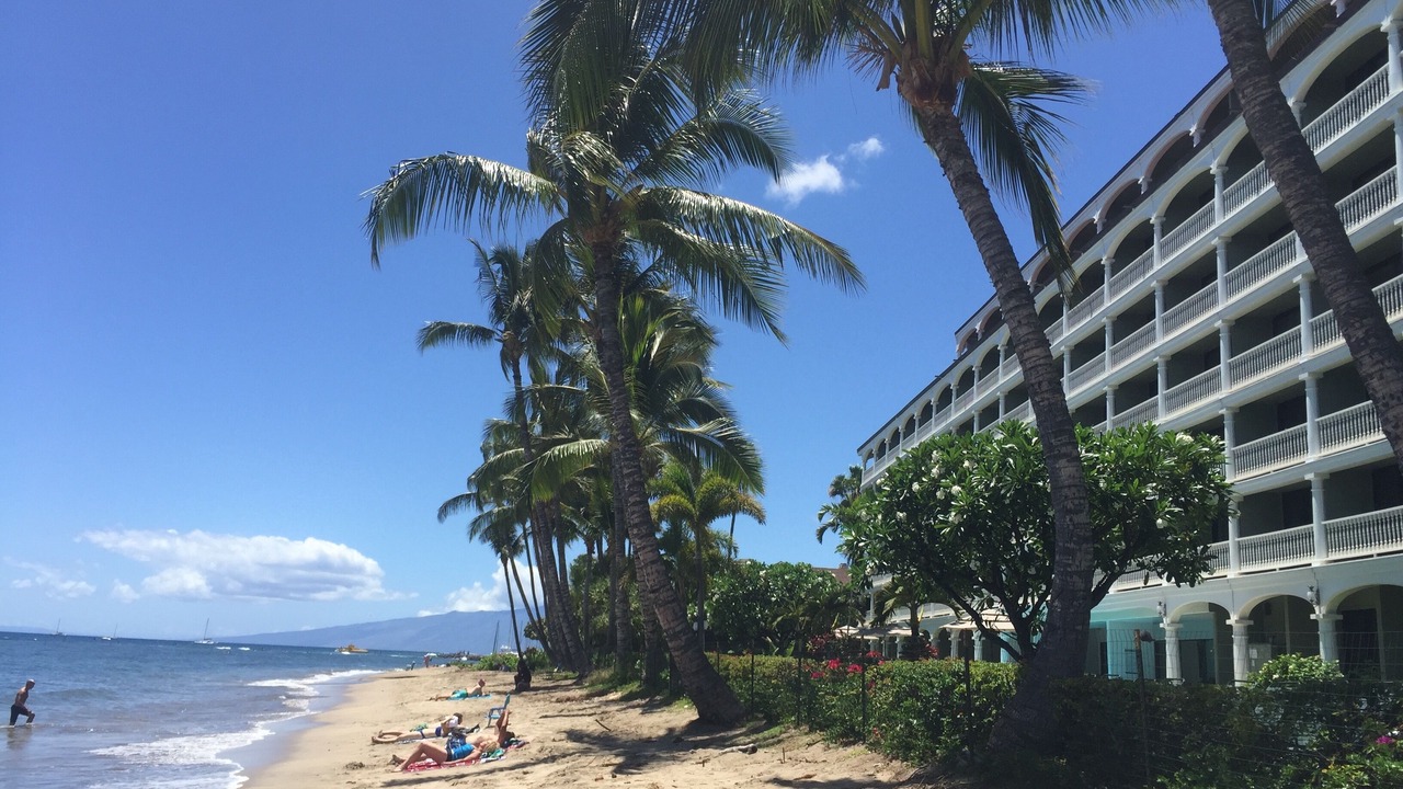 Photo of Others in Historic Lahaina Front Street