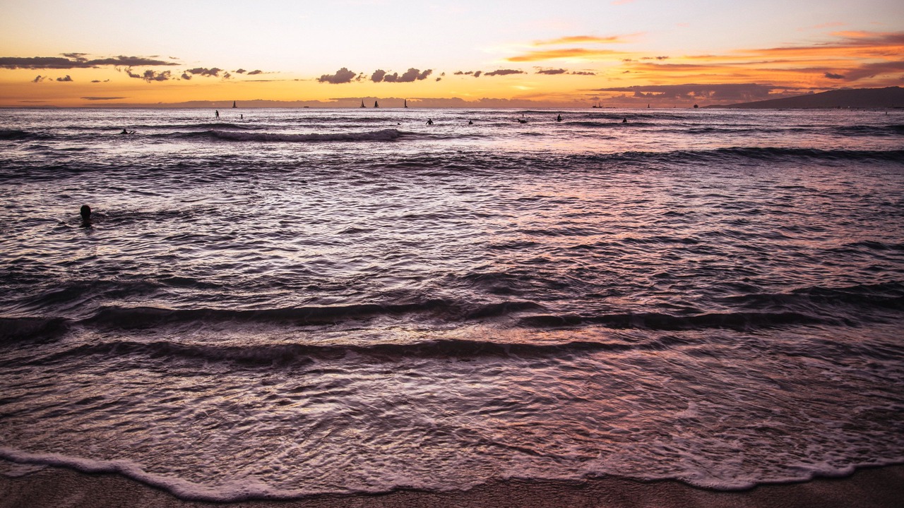 Photo of Others in Waikiki