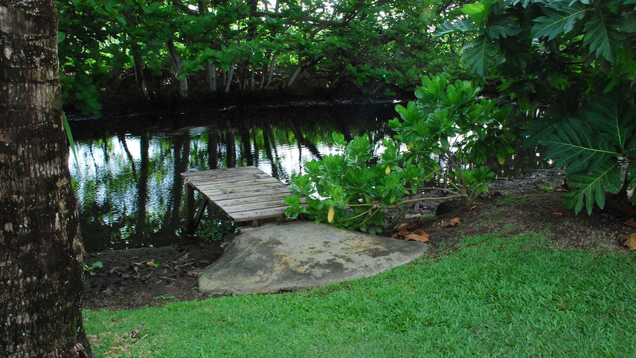 Photo of Outdoor in Hauula