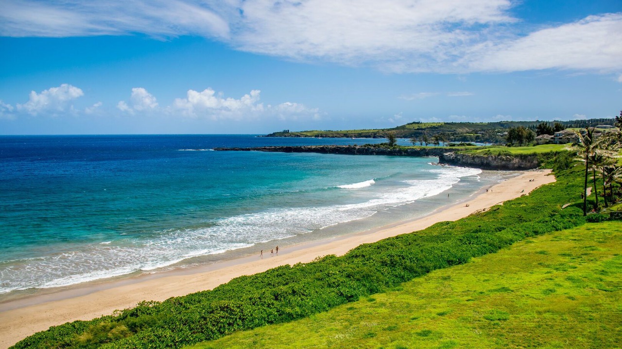 Photo of Others in Kapalua