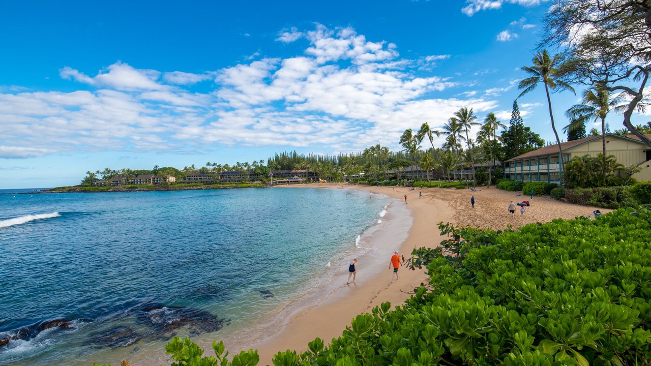 Photo of Others in Kapalua