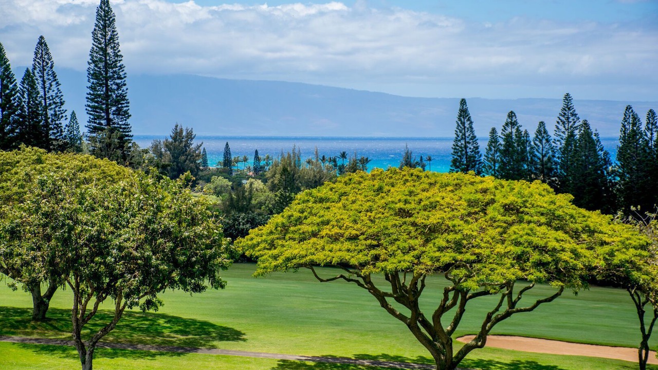 Photo of Others in Kapalua