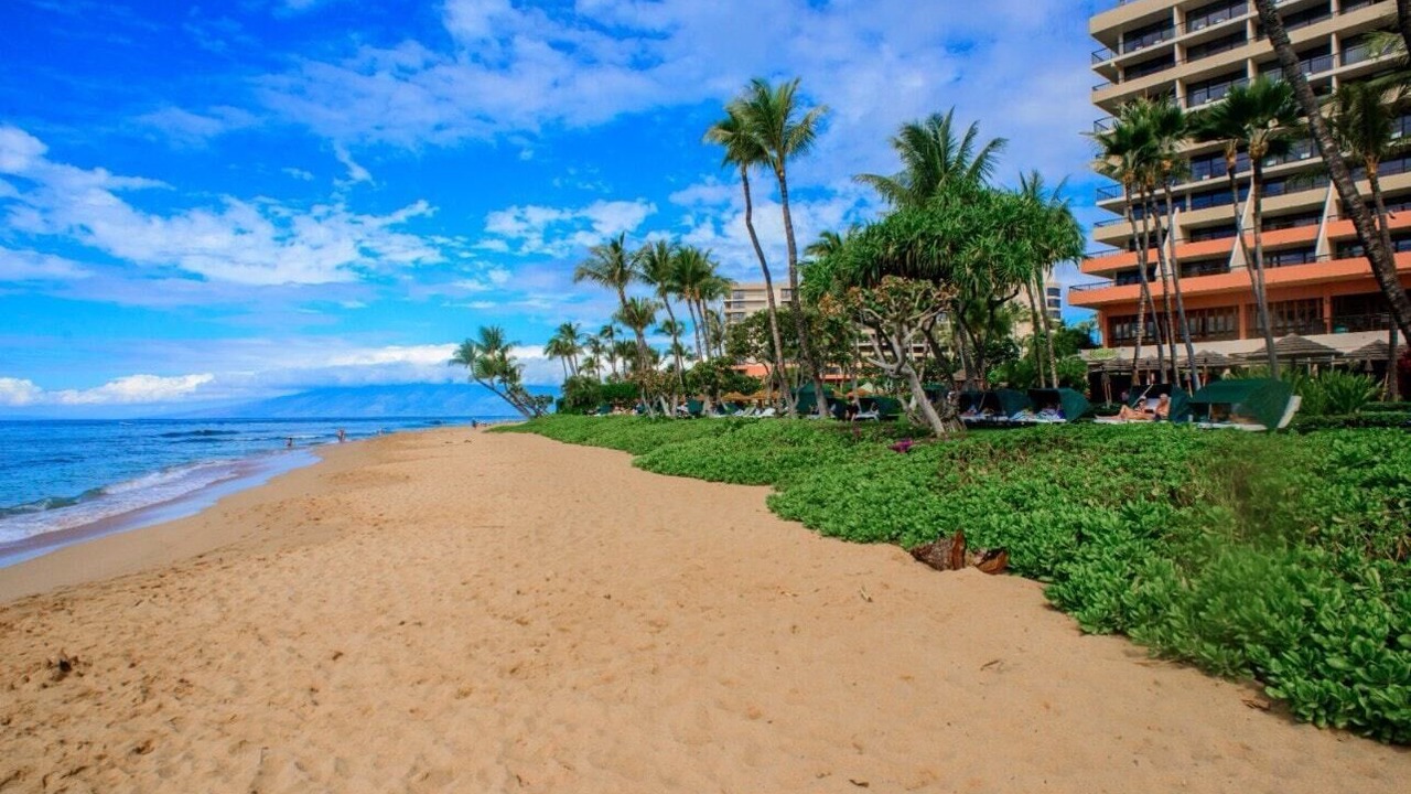 Photo of Others in Kaanapali