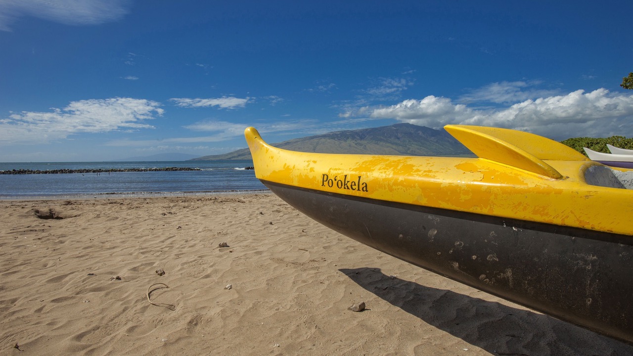 Photo of Others in Kihei