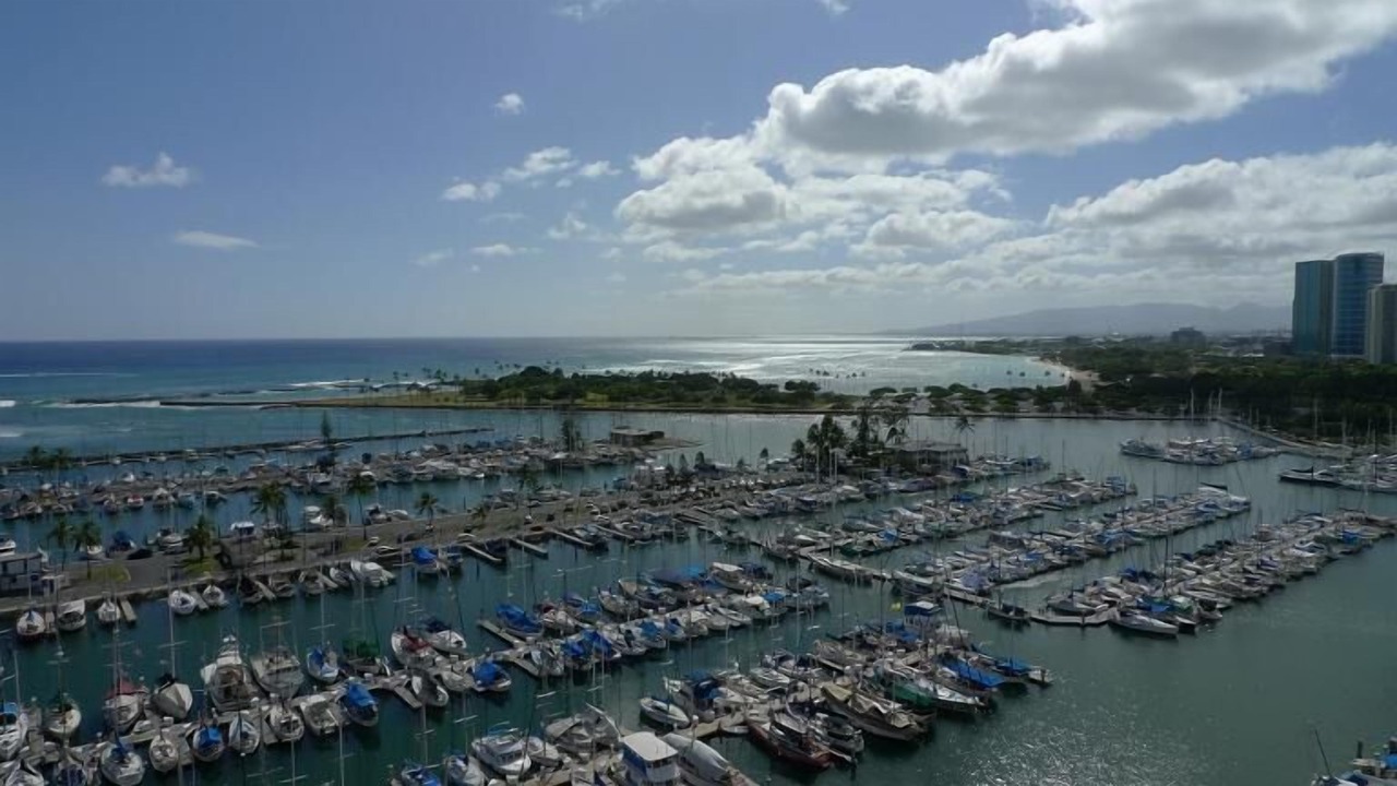Photo of Others in Waikiki