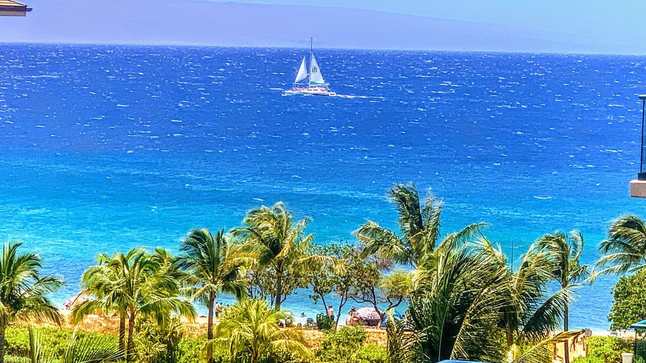 Photo of Others in Kaanapali