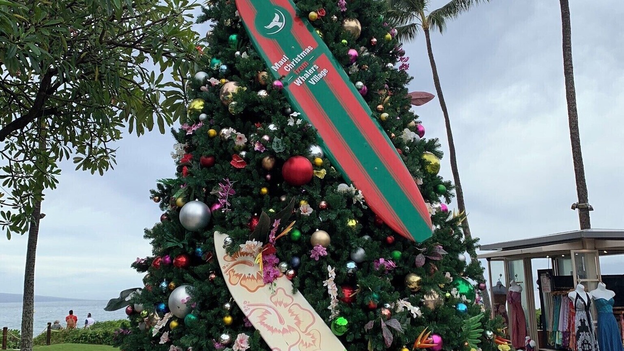 Photo of Others in Kaanapali