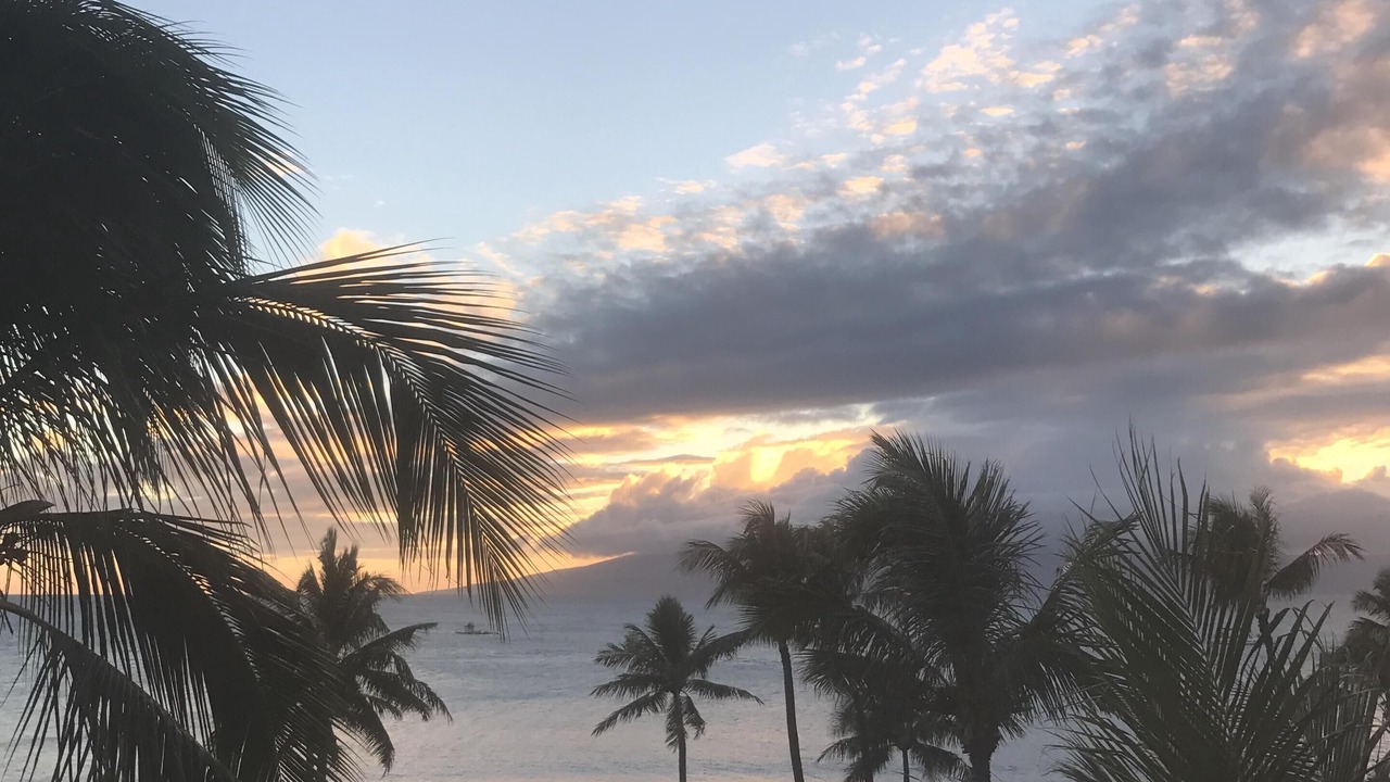 Photo of Others in Kaanapali