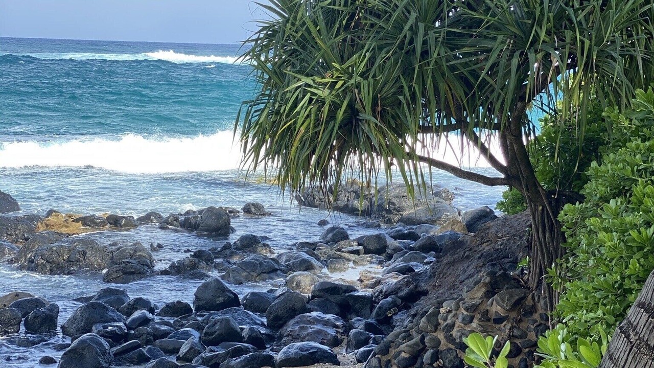 Photo of Others in Kaanapali