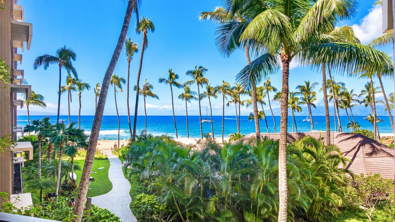 Photo of Others in Kaanapali